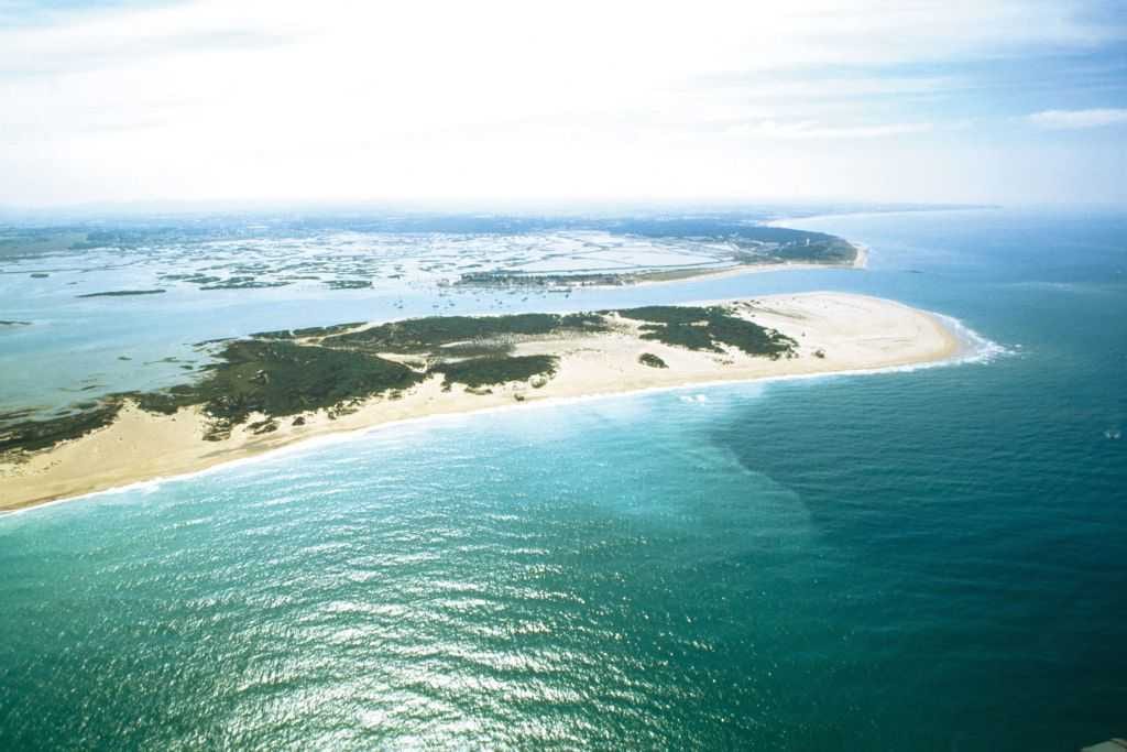 Punta Boquerón: la joya escondida del Parque Natural de la Bahía de Cádiz